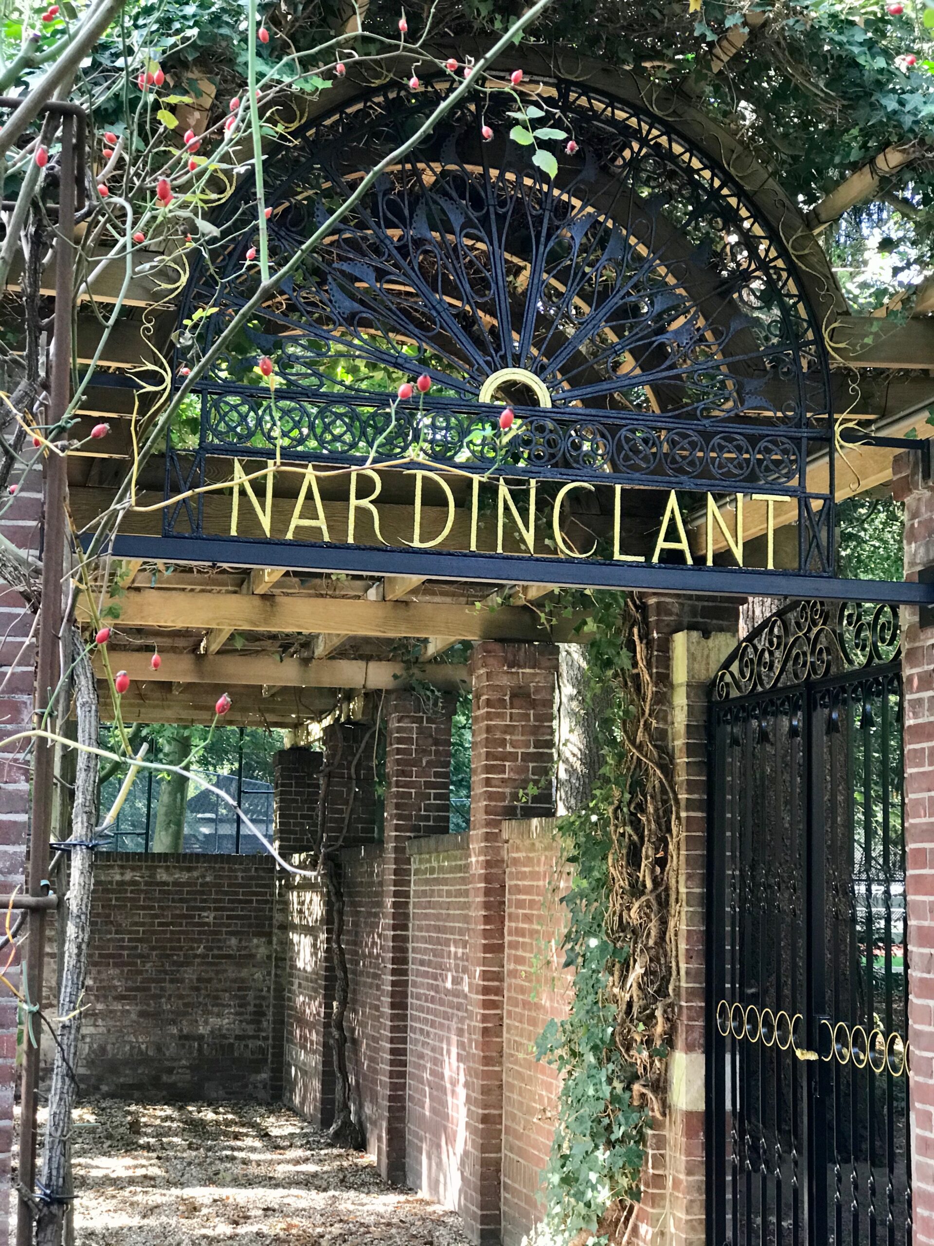 Nardinclant